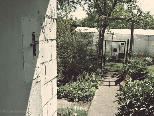 Z marketu prosto do celi. W areszcie udowodnili mu kolejne przestępstwa Z marketu prosto do celi. W areszcie udowodnili mu kolejne przestępstwa