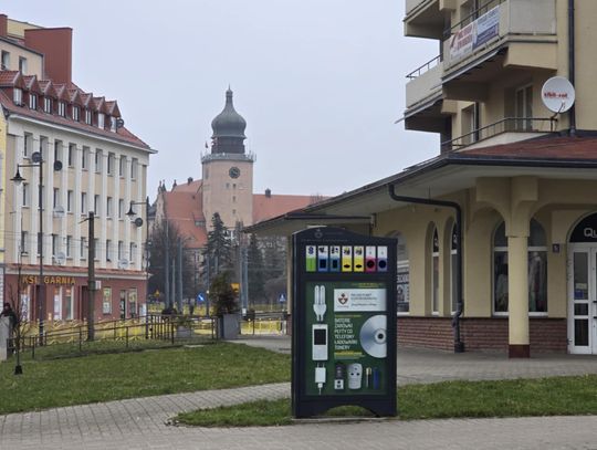 Za każdą tonę śmieci w Elblągu posadzone będzie jedno drzewo. To efekt zaangażowania mieszkańców