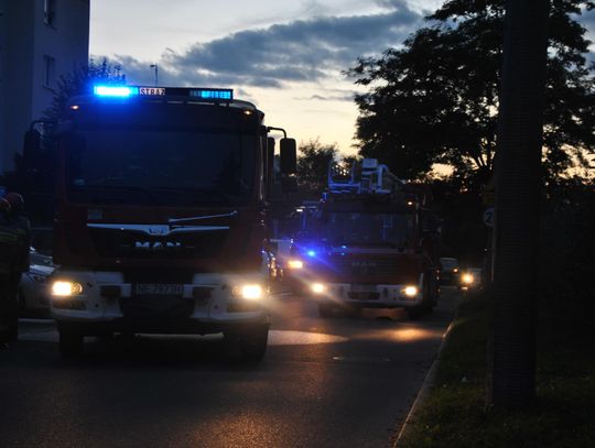 Zaczęło się! Nie pierwszy i nie ostatni taki wyjazd Zaczęło się! Nie pierwszy i nie ostatni taki wyjazd