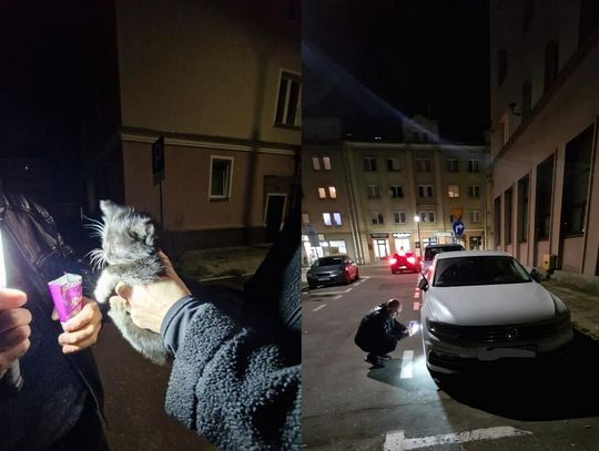 Zajrzyj pod maskę, zanim odpalisz auto