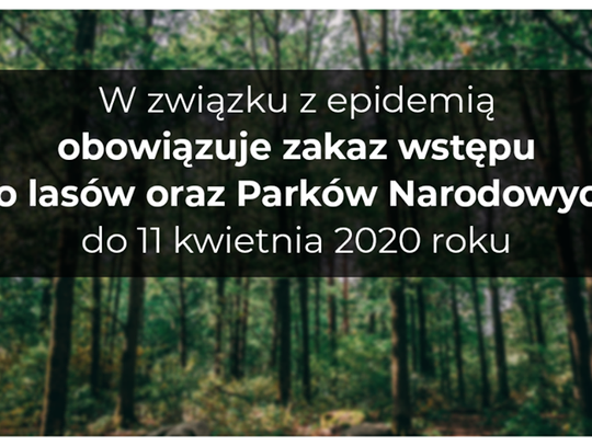 Zakaz wstępu do lasów!