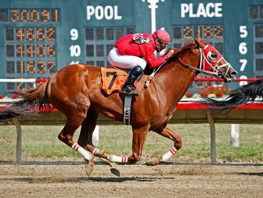 Zakłady bukmacherskie online w Polsce – oferta i promocje Lebull
