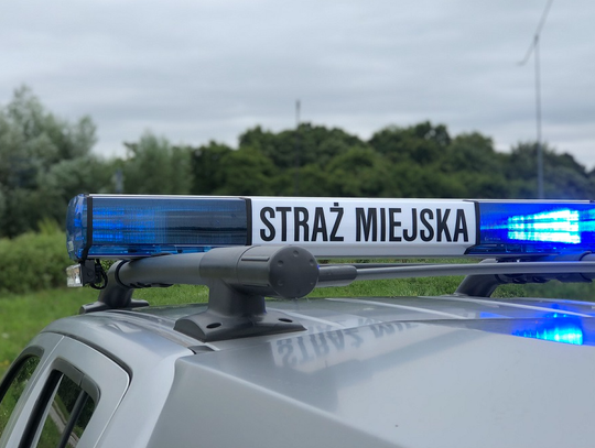 Zaparkował na zakazie i nie miał prawka