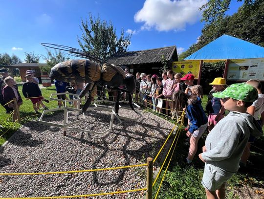 Zapisy na półkolonie wystartują w maju