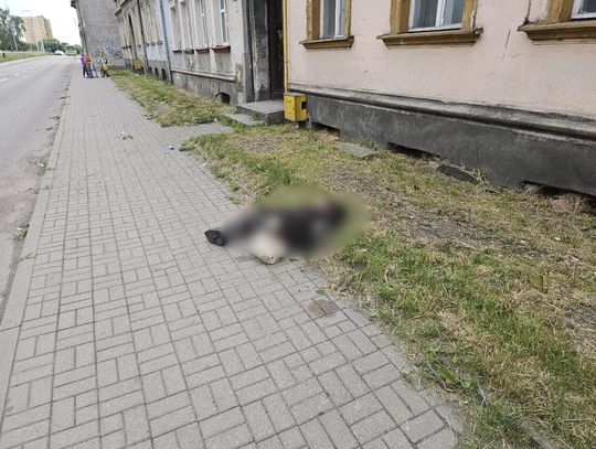 Zareagował, gdy inni przechodzili i przejeżdżali obojętnie