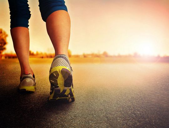 Zastosowanie pijawek w rehabilitacji sportowej