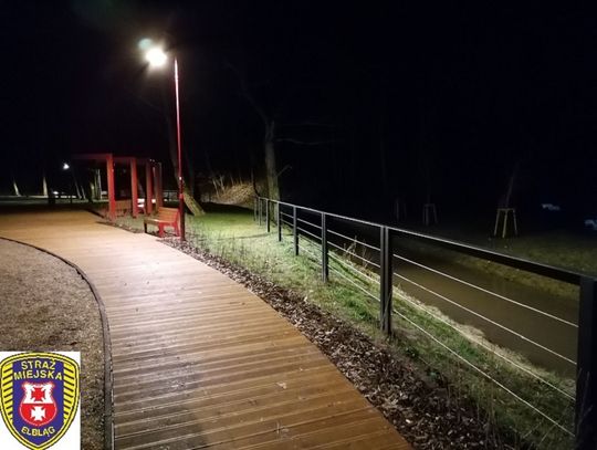 Zatrzymani podczas dewastacji Parku Dolinka Zatrzymani podczas dewastacji Parku Dolinka