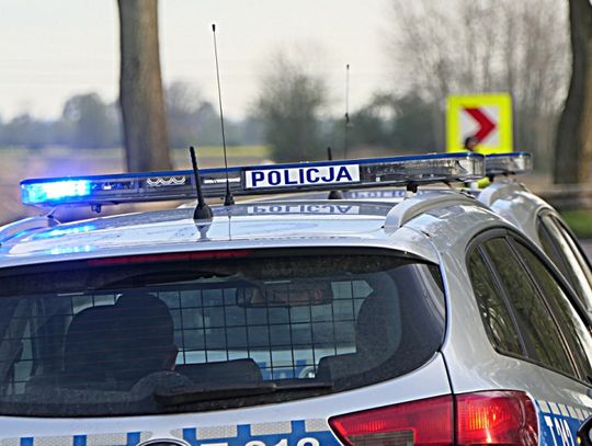 Zatrzymani przy trasie do Malborka. W Elblągu byli na "gościnnych występach" 