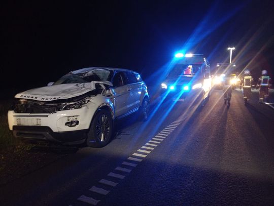 Zderzenie z łosiem na trasie Elbląg-Braniewo