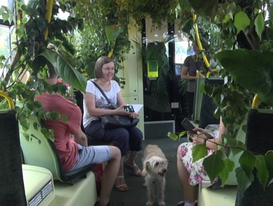 Zielony Tramwaj ruszy w miasto!