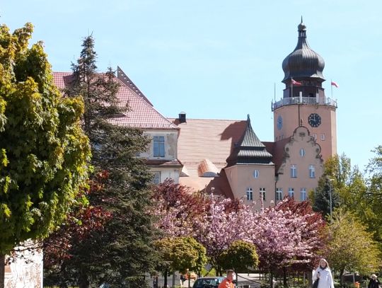 Zmiany organizacyjne w Urzędzie Miejskim w Elblągu