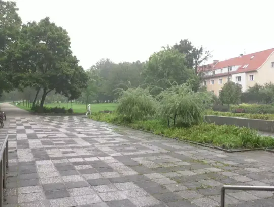 Znamy wyniki Zielonego Budżetu 2024