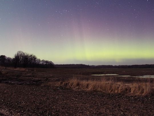 Zorza Polarna - zdjęcia z Modrzewiny