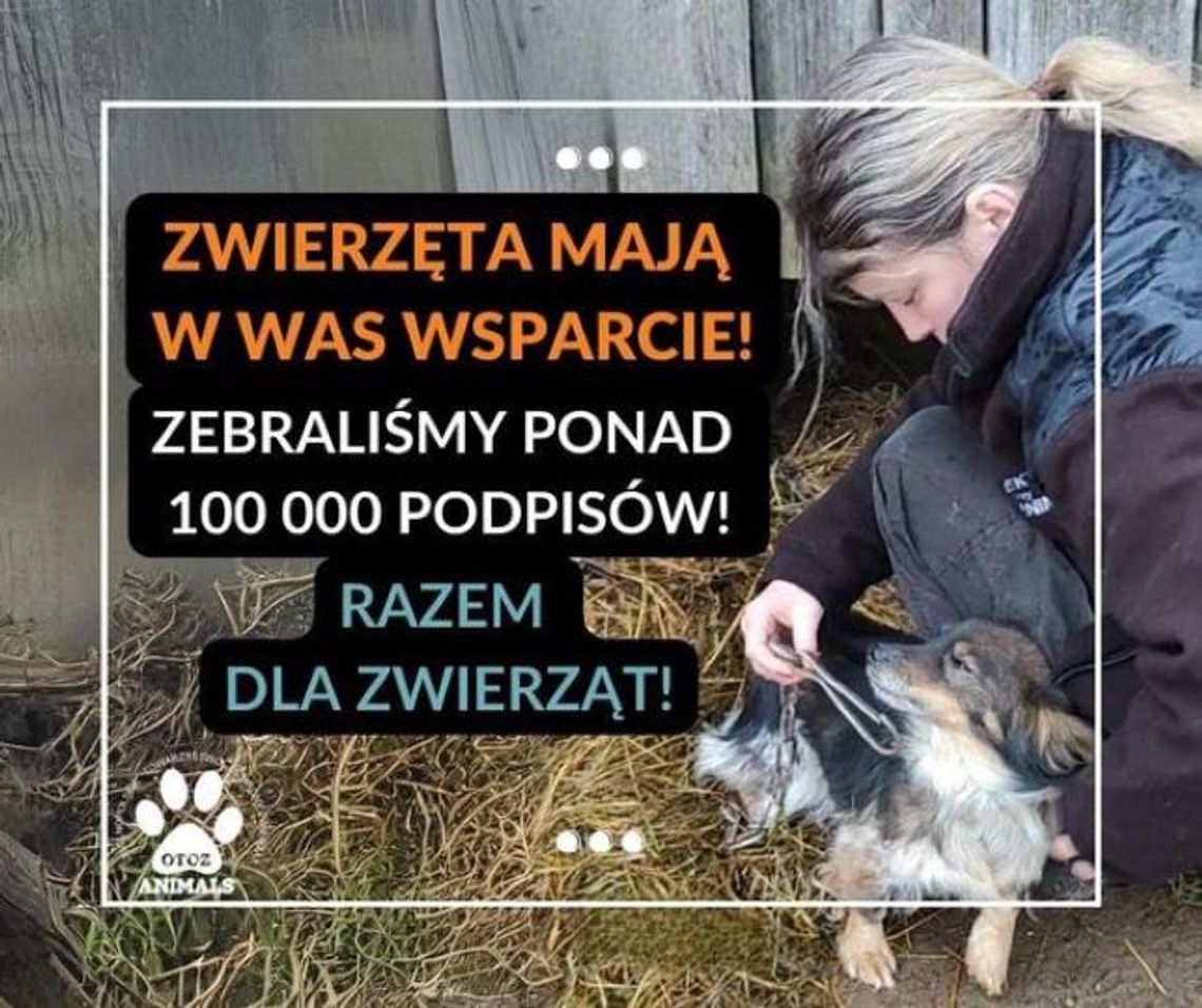 100 tys. podpisów za końcem łańcuchów i pseudohodowli!