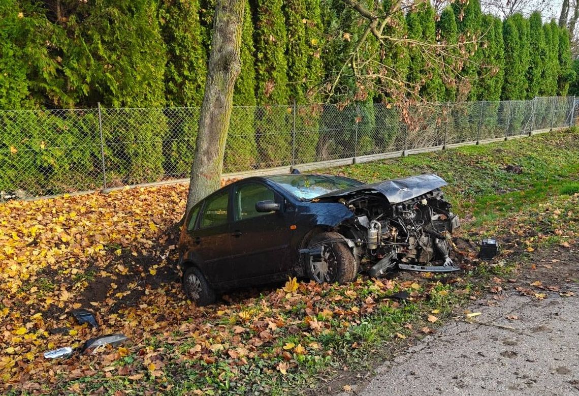 18-latek uderzył w drzewo. Prawko ma od miesiąca