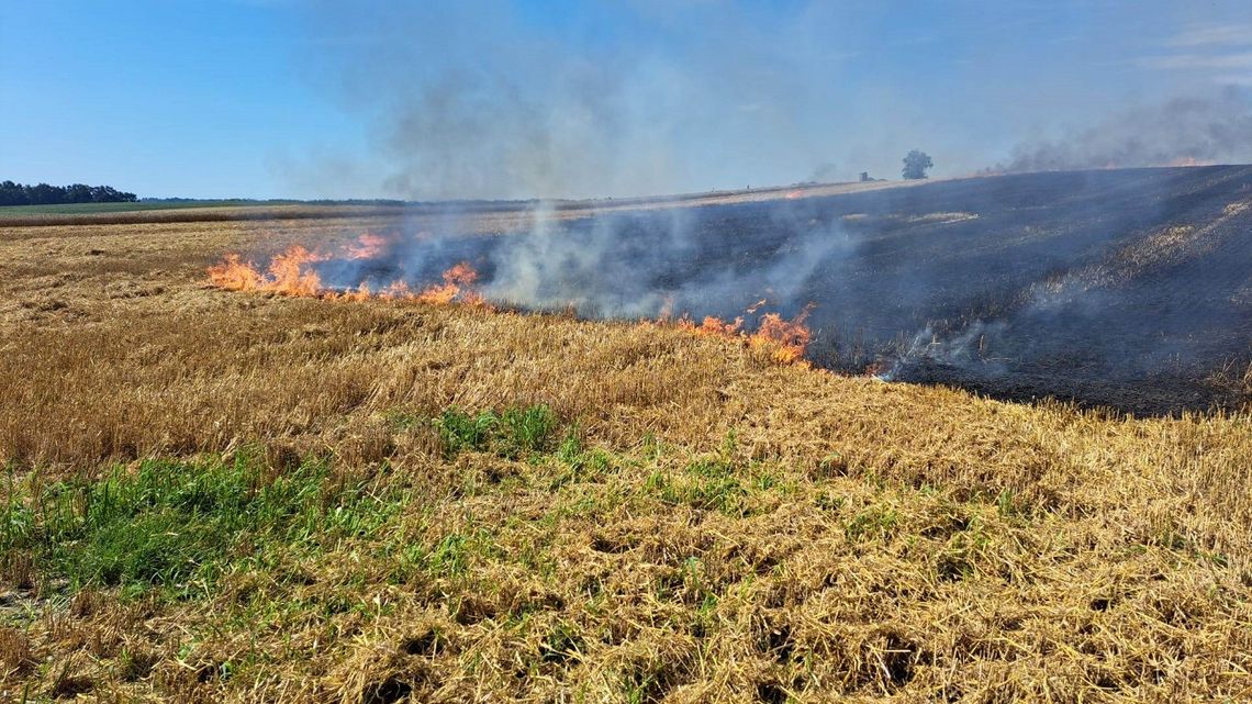 22 strażaków gasi pożar w Pogrodziu