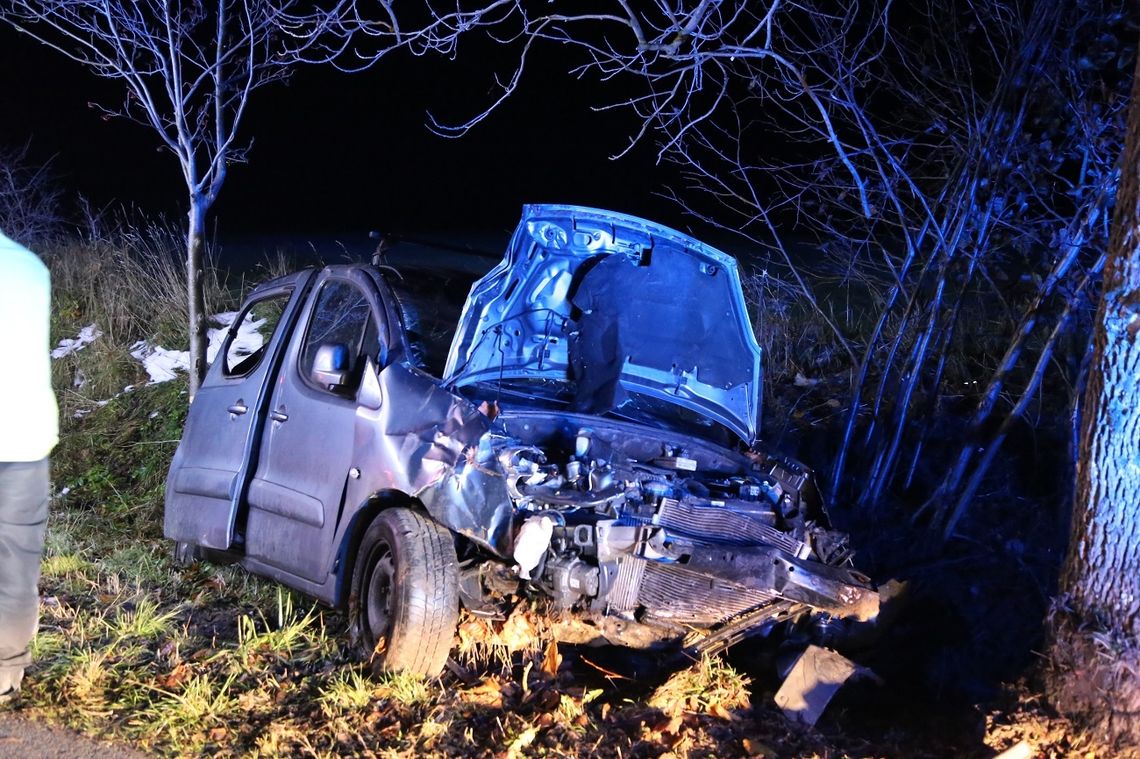 24-latek rozbił się na drzewie 24-latek rozbił się na drzewie