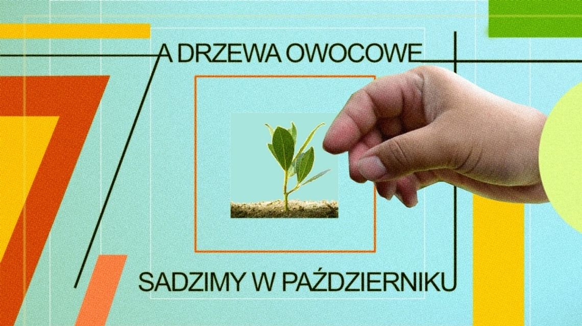 A drzewa sadzimy jesienią! – zielona akcja w Galerii EL