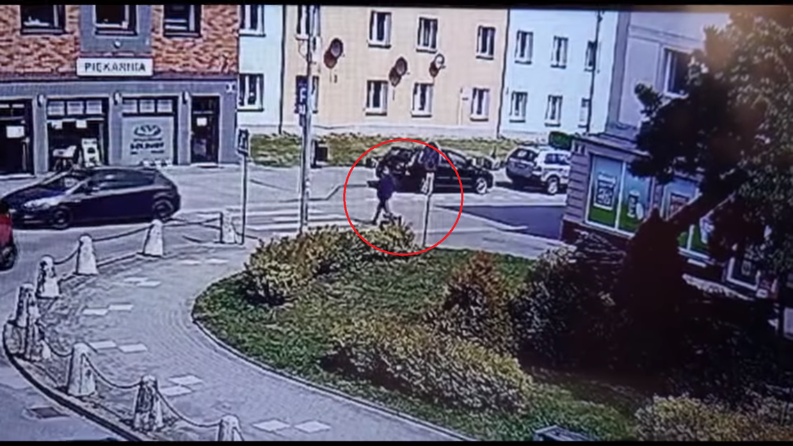 Akcja zatrzymania w Nowym Dworze Gdańskim [FILM]