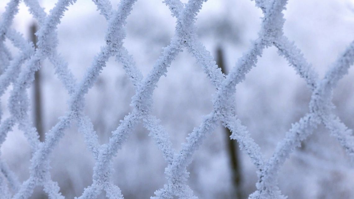 Bilans rośnie: ponad 10 zgonów. Tragiczny przypadek w Gronowie Elbląskim