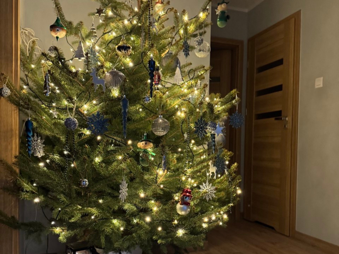 Choinka prawdziwa czy sztuczna? Świąteczny spór, który co roku wraca Choinka prawdziwa czy sztuczna? Świąteczny spór, który co roku wraca