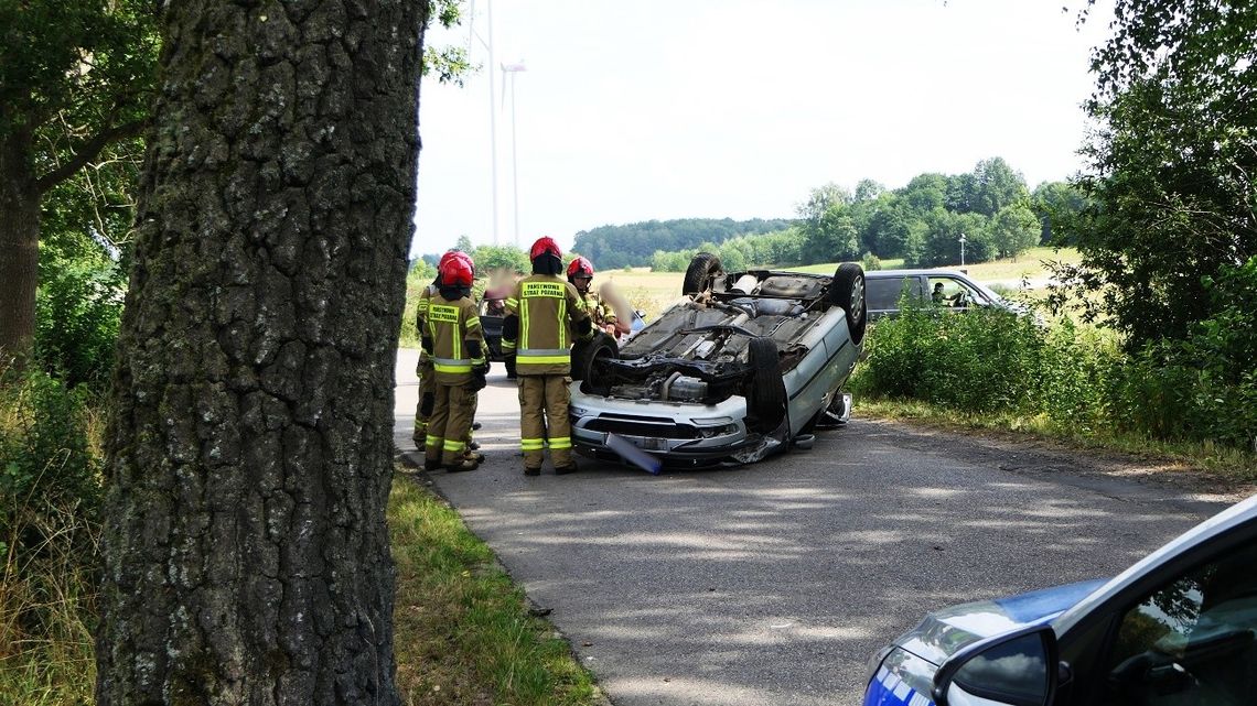 Dachowanie w Majewie Dachowanie w Majewie