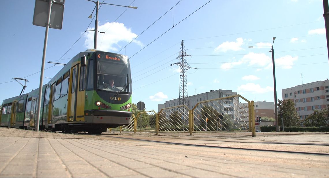 Dodatkowe bezpłatne kursy na Dni Elbląga