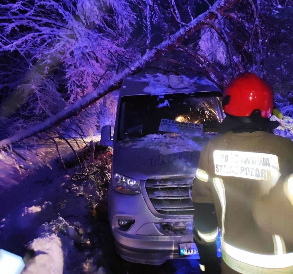 Drzewo spadło na busa. Ranna kobieta