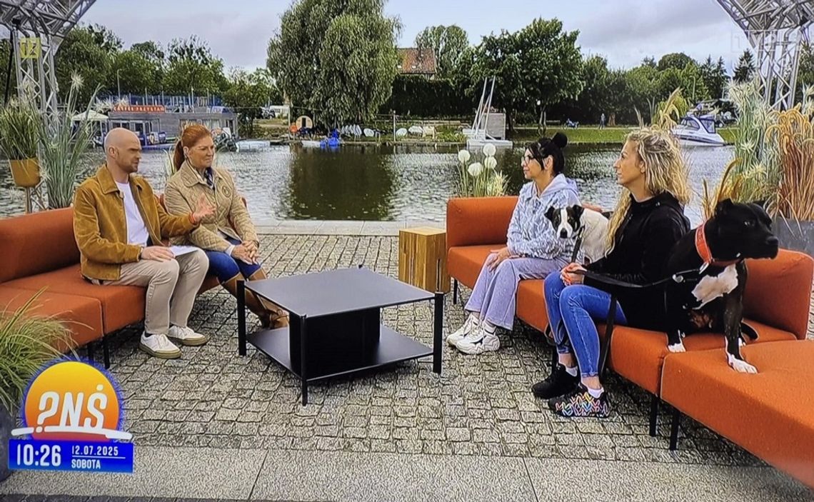 Elbląg na pierwszym planie