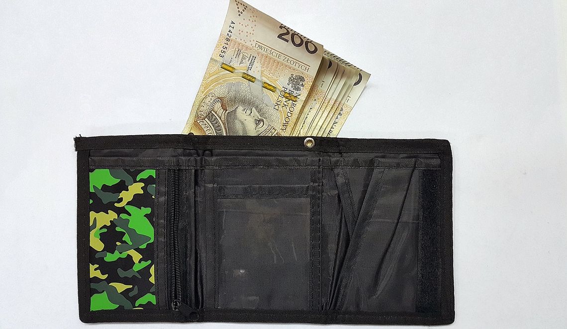 Elbląg: Na terenie Castoramy znaleziono portfel z pieniędzmi 