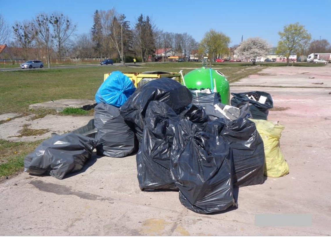 Elbląg: Nie zauważył kamery, namierzyli go po tablicach rejestracyjnych