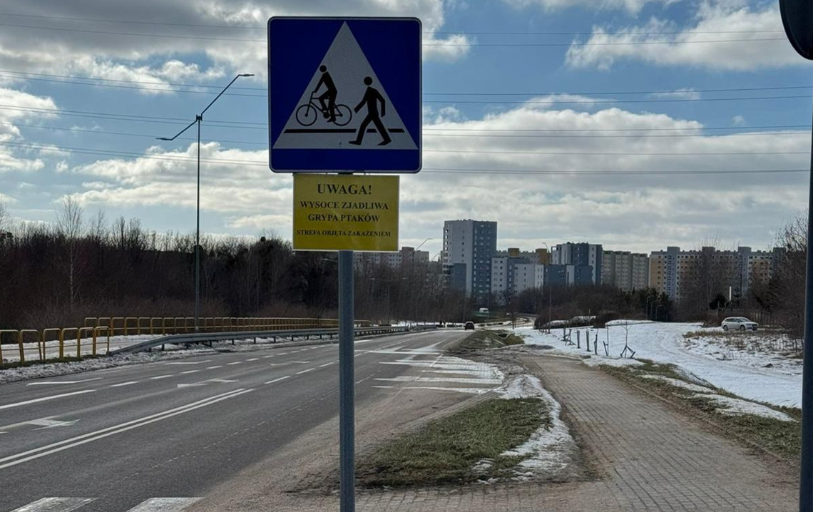 Elbląg w strefie zagrożenia ptasią grypą. Powiatowy Lekarz Weterynarii rozszerza obszar zakażenia