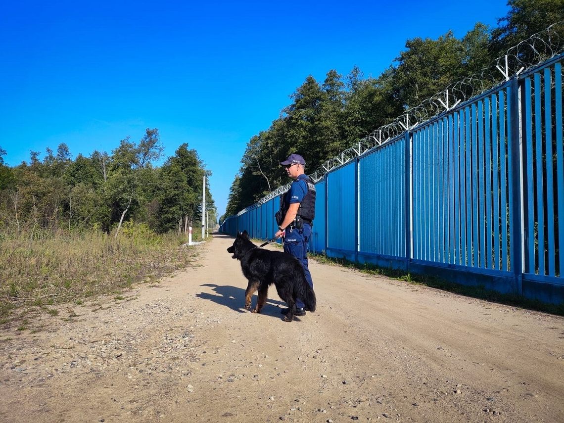 Elbląscy przewodnicy psów - wsparciem na granicy z Białorusią