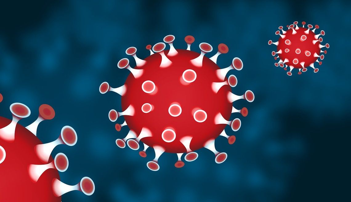 Epidemia w regionie. Nowy przypadek zakażenia w powiecie elbląskim