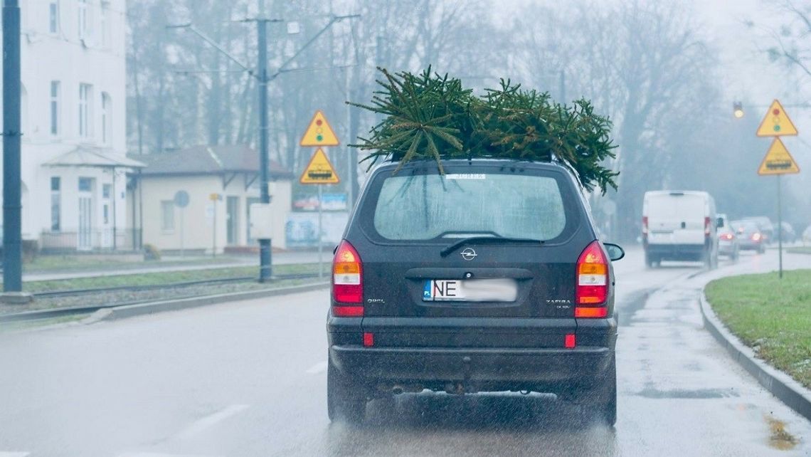 Jak bezpiecznie przewieźć choinkę? Policja odpowiada