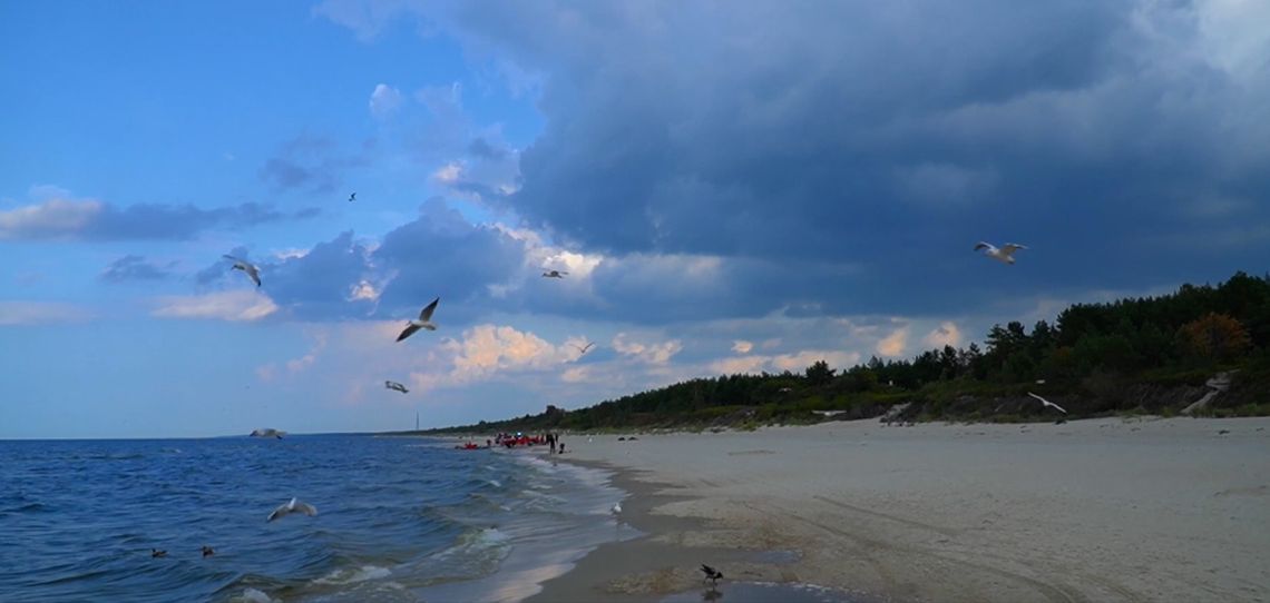 Jak znaleźć bezpieczne kąpielisko z czystą wodą? [VIDEO]