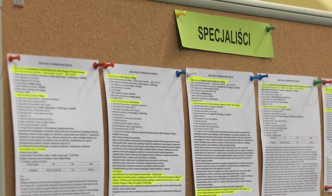 Jakie zawody są najbardziej poszukiwane w Elblągu? Najnowsze oferty pracy
