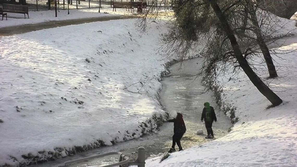 Jeden krok od tragedii. Straż Miejska w Elblągu apeluje do rodziców
