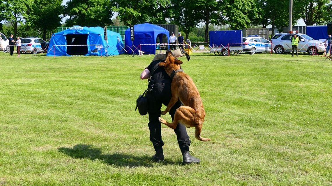 Już w piątek w Elblągu pokaz psów służbowych, musztry paradnej i wiele innych Już w piątek w Elblągu pokaz psów służbowych, musztry paradnej i wiele innych