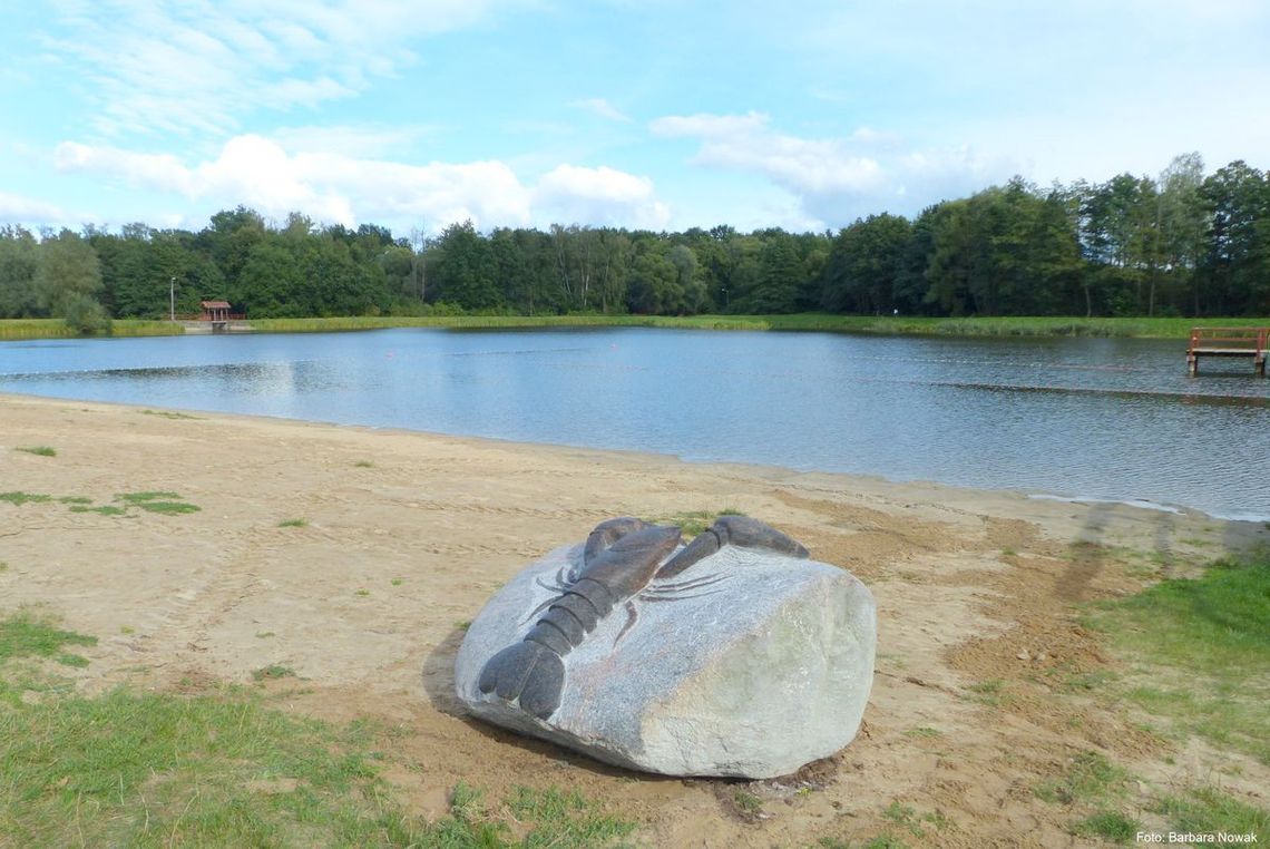 Kamienny rak na plaży w Pasłęku