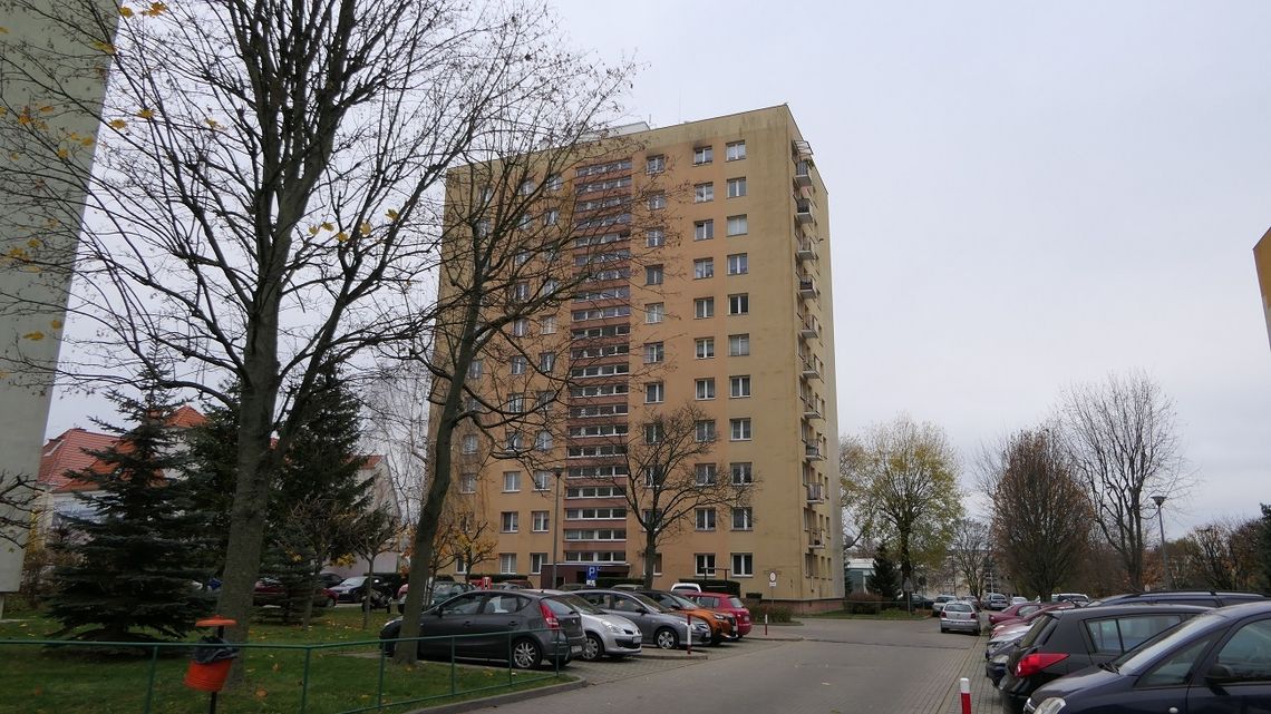 Karaluchy i prusaki w całym bloku. Mieszkańcy proszą o pomoc