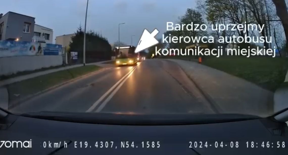 Kierowca autobusu i jeż. Do sieci trafiło nagranie [WIDEO]