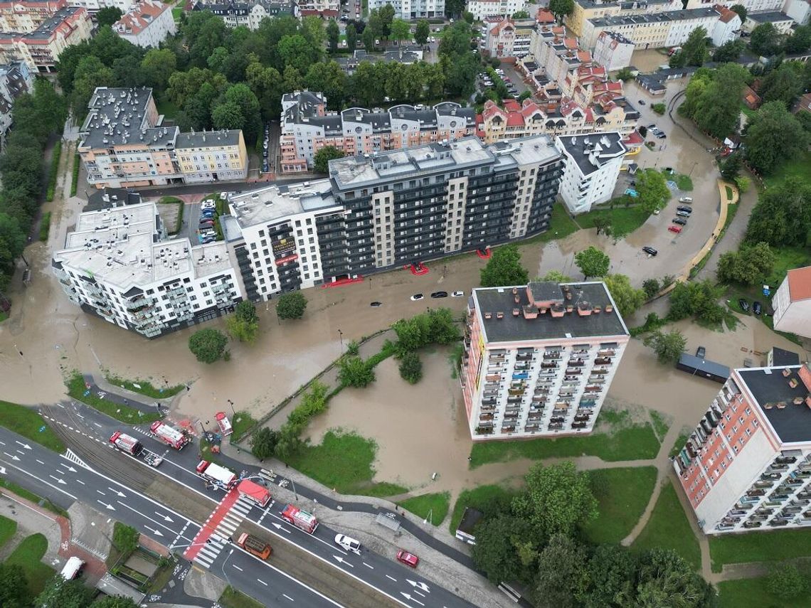 Kumiela wylała. Prezydent Elbląga powołał komisję Kumiela wylała. Prezydent Elbląga powołał komisję