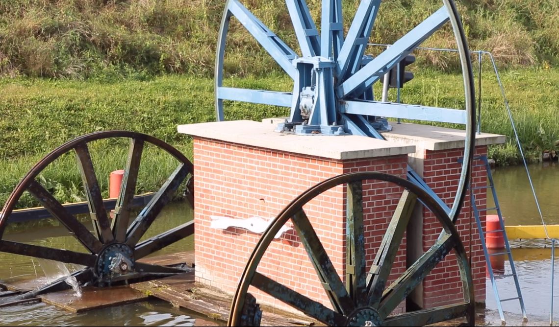 Mazurski thriller, czyli kręcą u nas serial