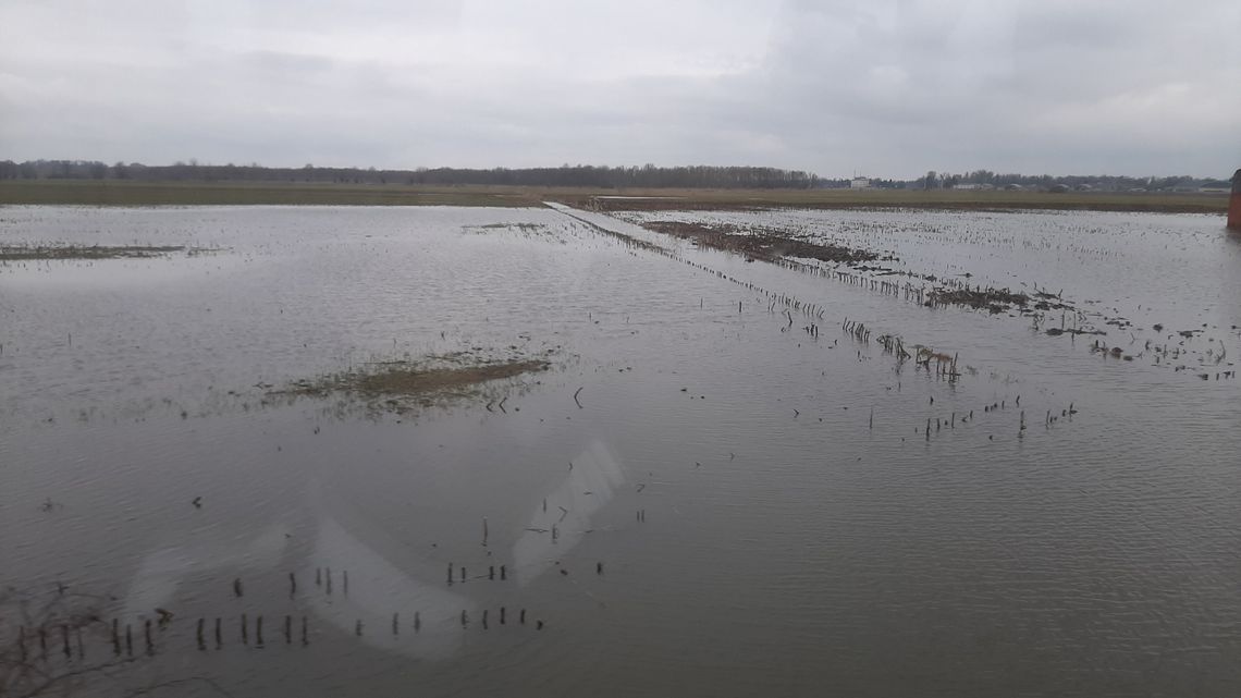 Miliony na walkę z powodzią. Żuławy dostaną pilne wsparcie Miliony na walkę z powodzią. Żuławy dostaną pilne wsparcie