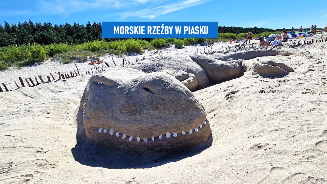 Morskie rzeźby na plaży w Sztutowie