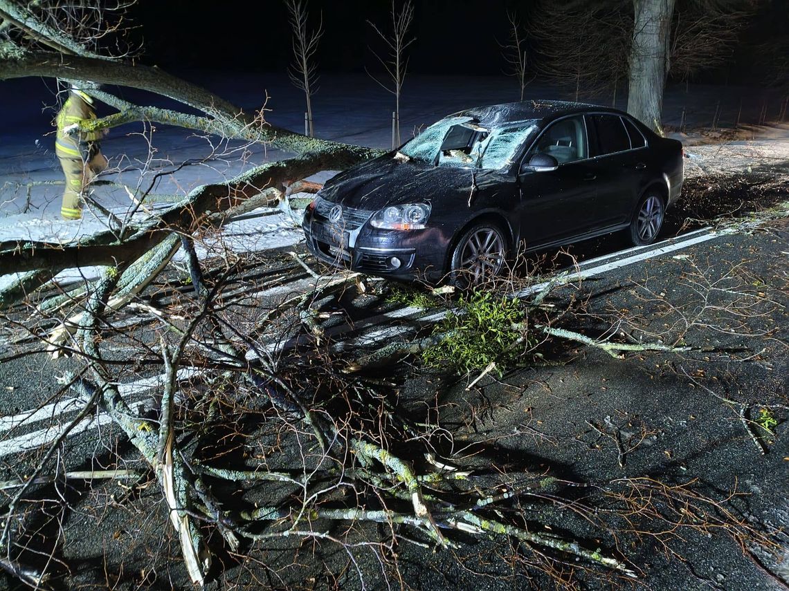 Na jadący samochód spadł konar drzewa