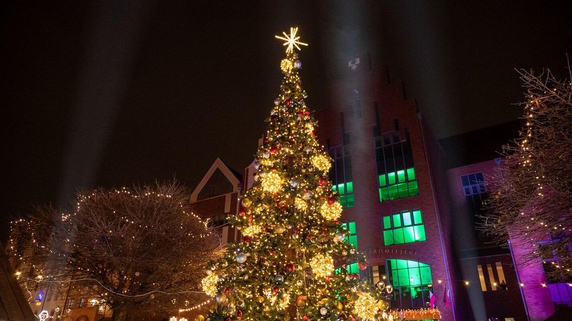 Na Starym Mieście rozbłysła choinka [FOTO I WIDEO]