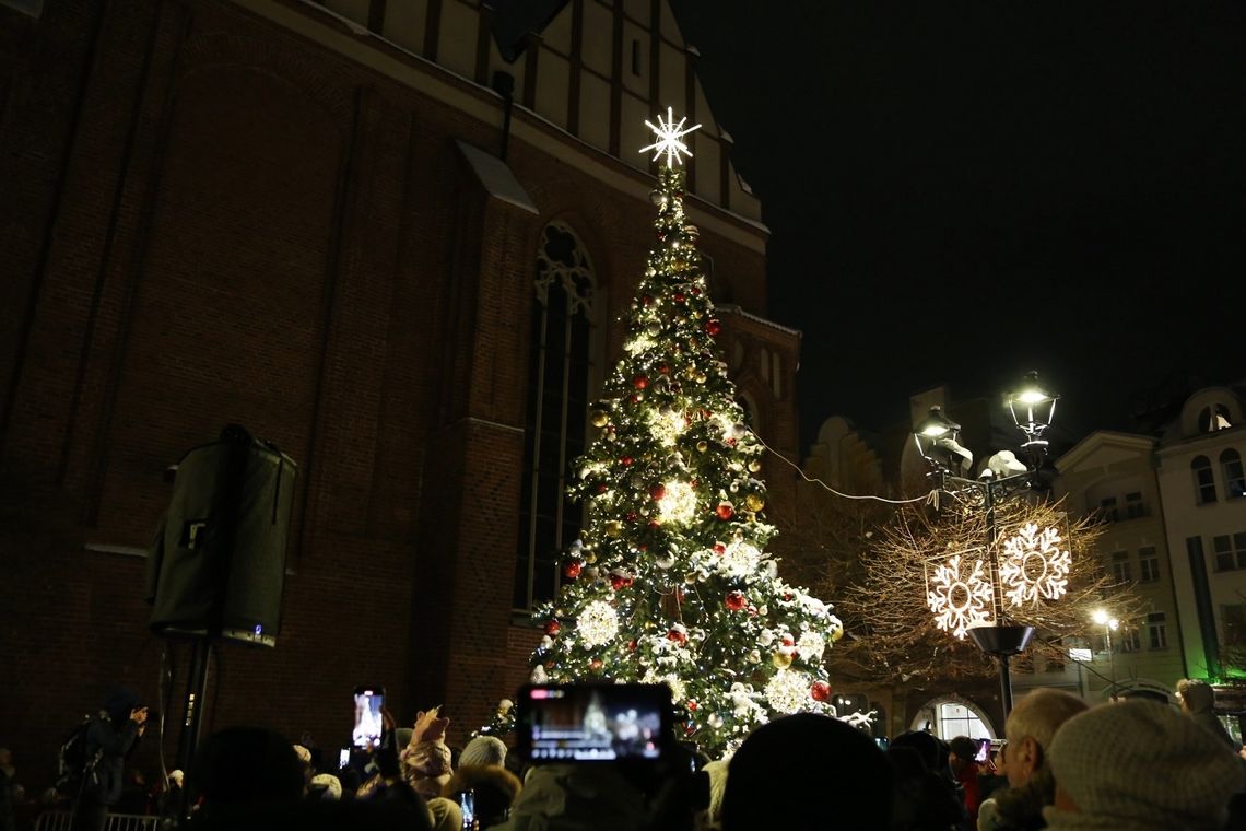 Na Starym Mieście rozbłysła świąteczna choinka Na Starym Mieście rozbłysła świąteczna choinka