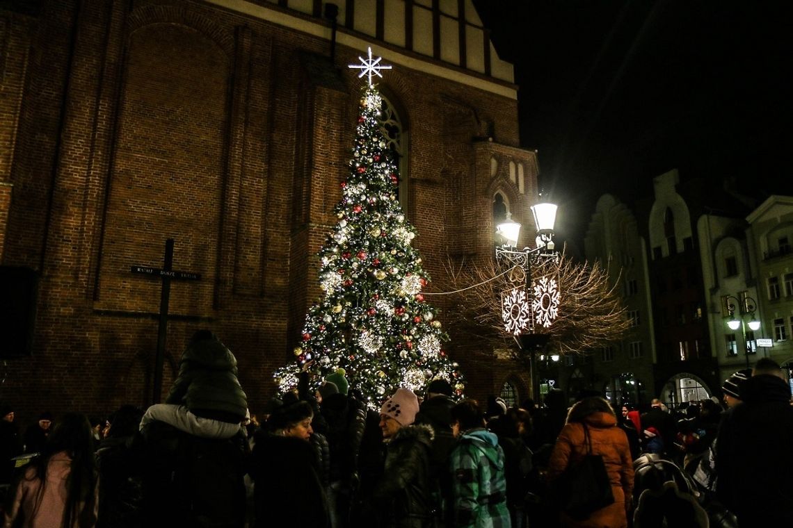 Na Starym Mieście rozbłyśnie choinka Na Starym Mieście rozbłyśnie choinka